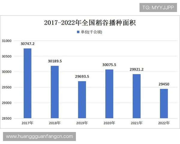 墨西哥与南非在世界杯中的出线形势分析:晋级概率与未来走势预测